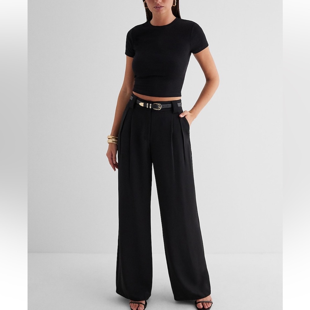 BNWT Express Stylist High Waisted Pleated Wide Leg Pant